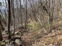 Lijak März 2020 - 8